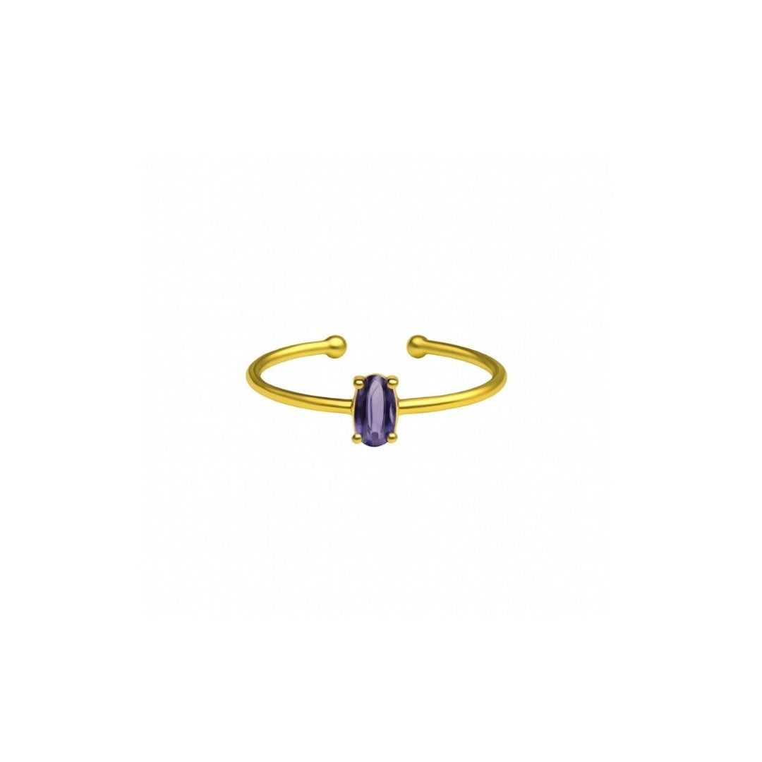 925 Sterling Silver February Birthstone Ring-Amethyst Ring